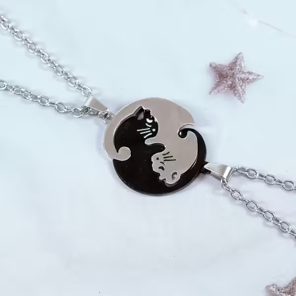 316鋼飾×抱團取暖×閨蜜情侶項鍊組