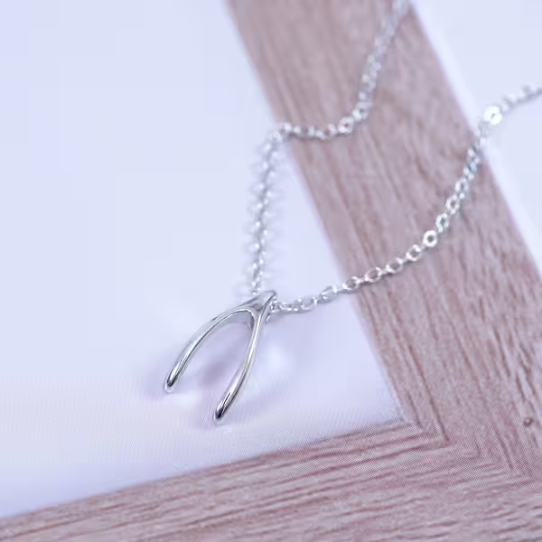 925銀飾×如願骨×鎖骨項鍊