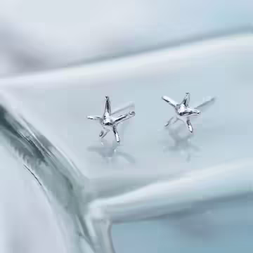 925銀針×五角海星×耳針