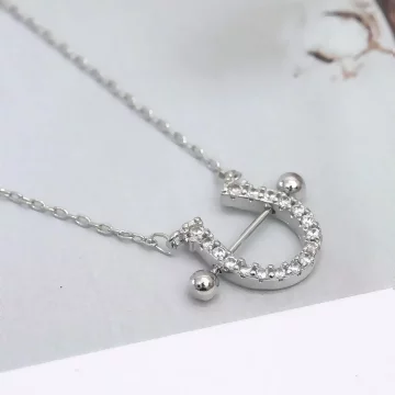 925銀飾&times;馬蹄晶鑽&times;鎖骨項鍊.avif