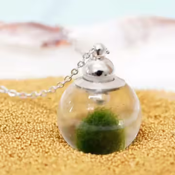 綠藻玻璃球×項鍊