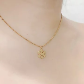 316鋼飾×雪花片×鎖骨項鍊×金色.avif