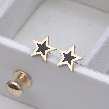 【精品館】竹隱 耳環 銀色.avif