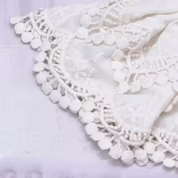 白蕾絲刺繡蝴蝶結×蝴蝶夾×髮夾