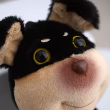 蜜蜂小黑狗×娃娃×掛件