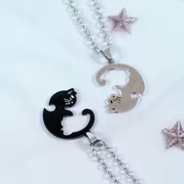 316鋼飾×抱團取暖×閨蜜情侶項鍊組