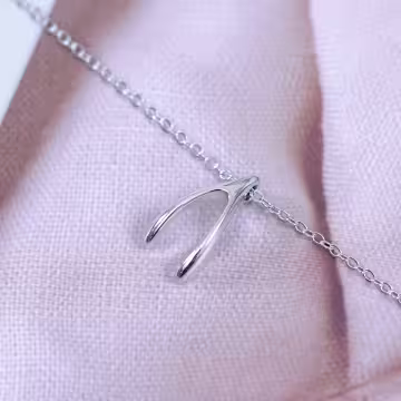 925銀飾×如願骨×鎖骨項鍊